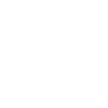icons8-seo-100