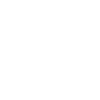 icons8-customer-insight-100
