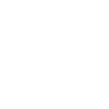icons8-figma-100 (1)