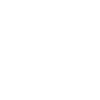 icons8-landing-page-100