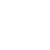 icons8-presentation-100 (1)