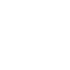 icons8-website-100